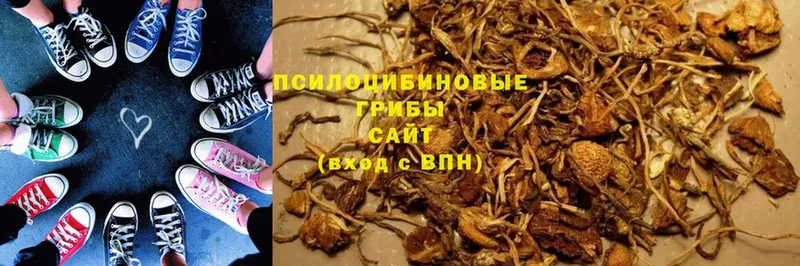 MEGA вход  купить наркотик  Малаховка  Галлюциногенные грибы Cubensis 